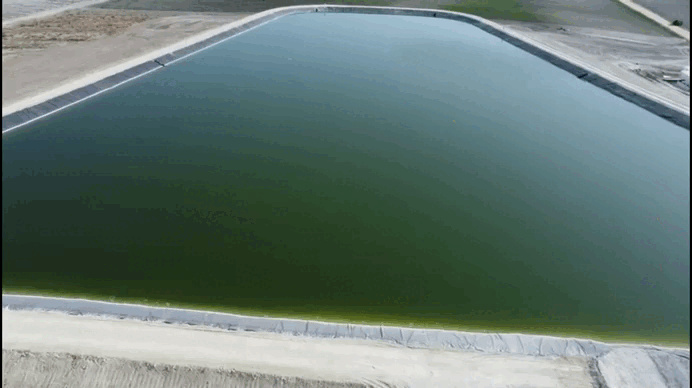 Ingenier&iacute;a agroindustrial y medio ambiente